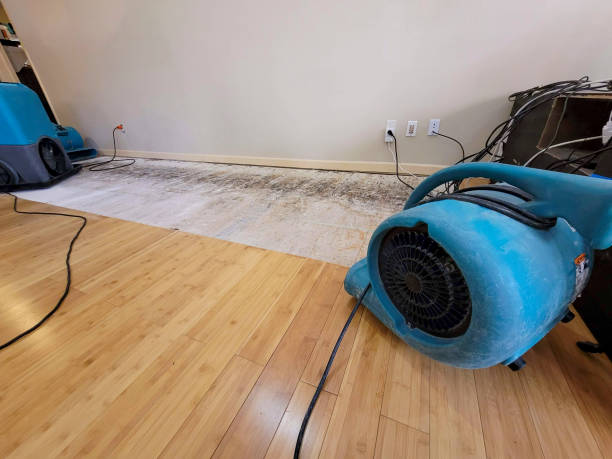 Professional Water Damage Repair technician working in Lovejoy, GA
